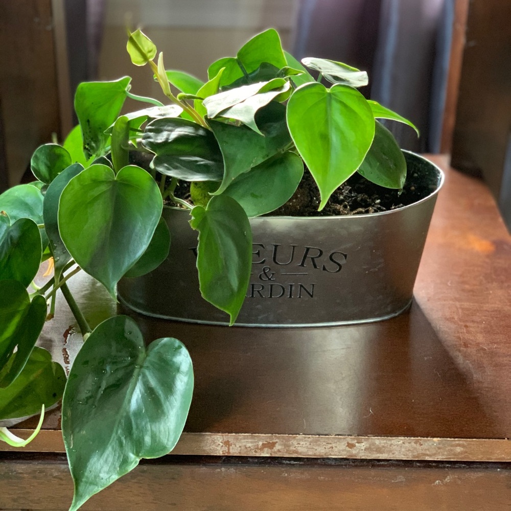 2 Farmhouse Planters💥